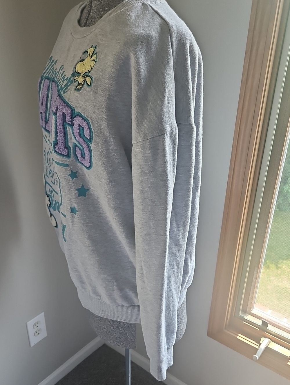 Peanuts Snoopy And Woodstock Textured Graphic Sweatshirt - Picture 3 of 5